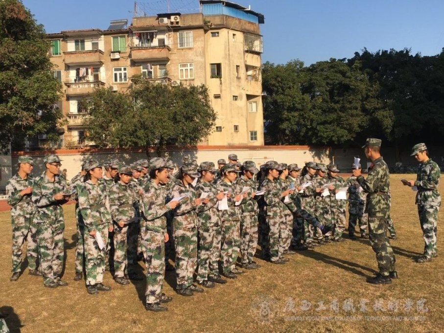 脆柿和软柿是一个品种吗