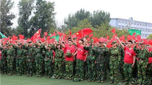 救援达尔马提亚狗